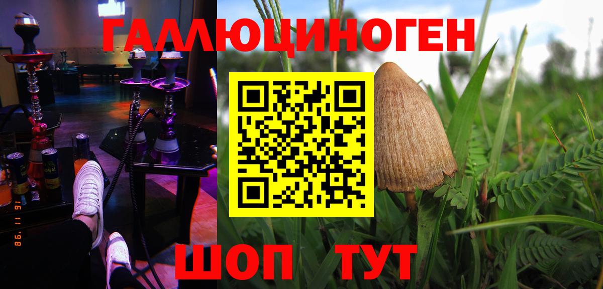 Калач-на-Дону  Псилоцибиновые грибы мицелий  Вход с VPN 